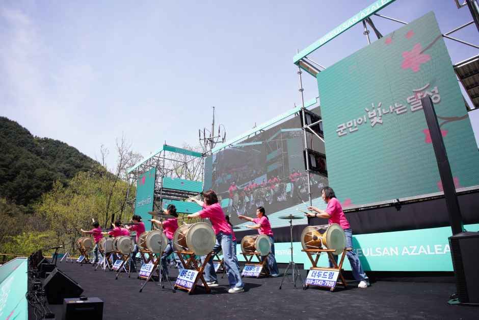 비슬산 참꽃문화제