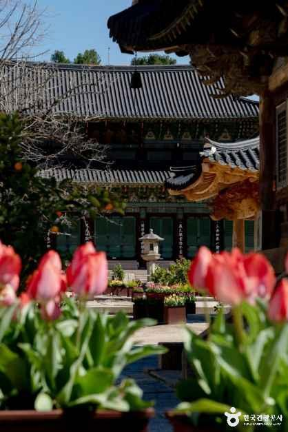 4058790 image2 1 예스키즈존 탐험대 : 실패 없는 육아여행