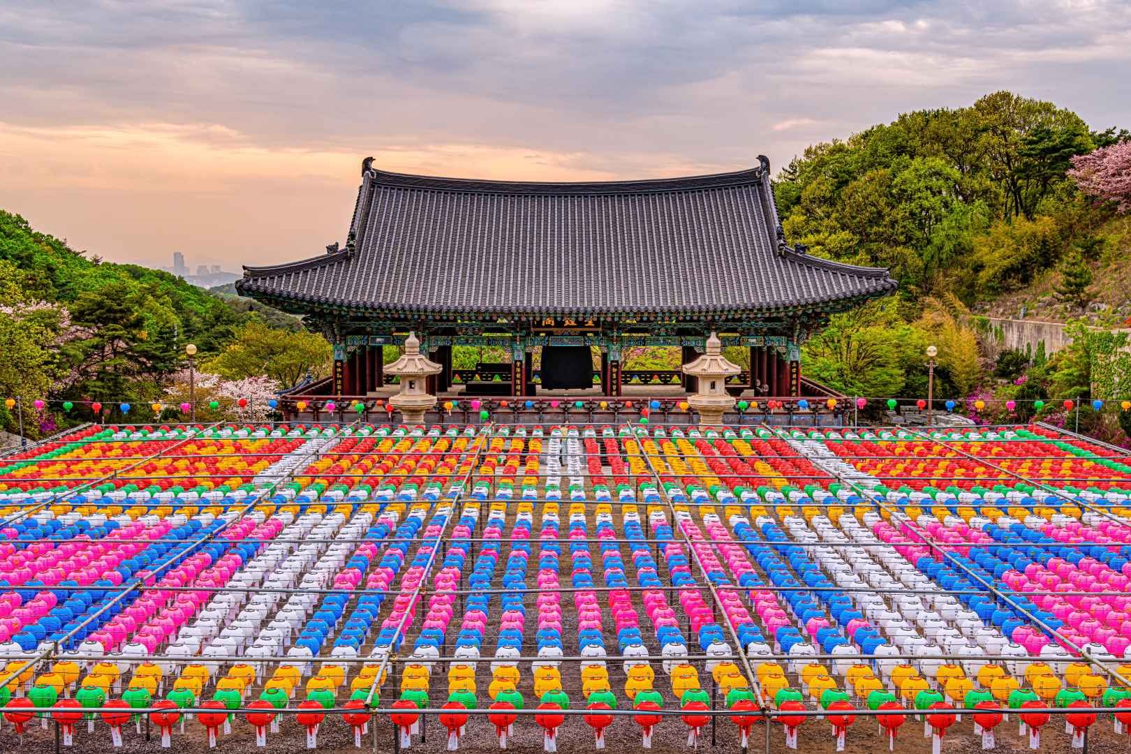 A temple adorned with lotus lanterns