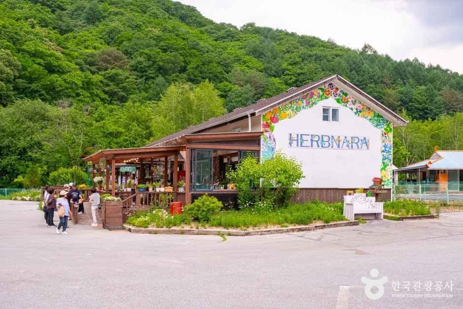 香草世界农园