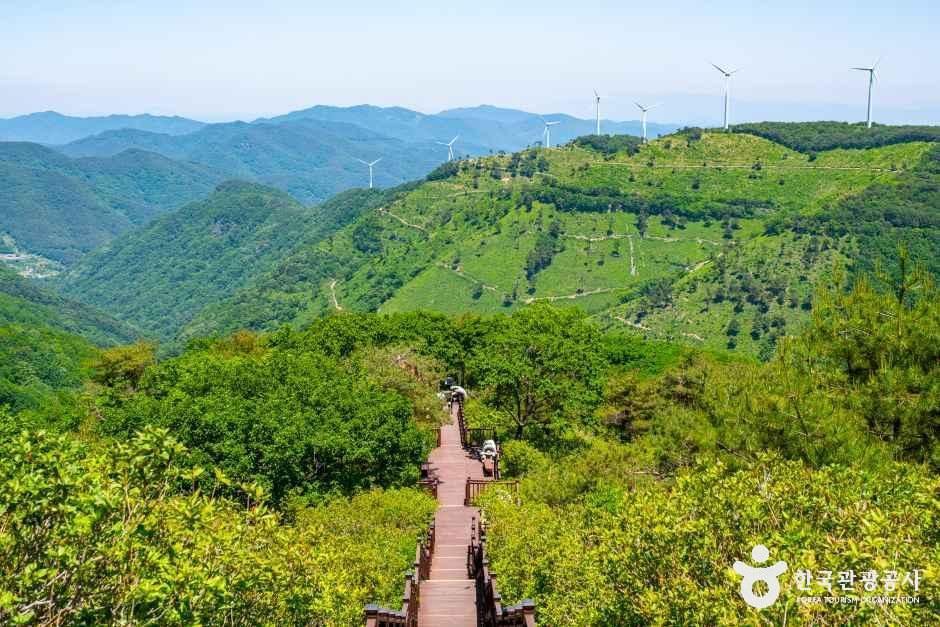 설화원