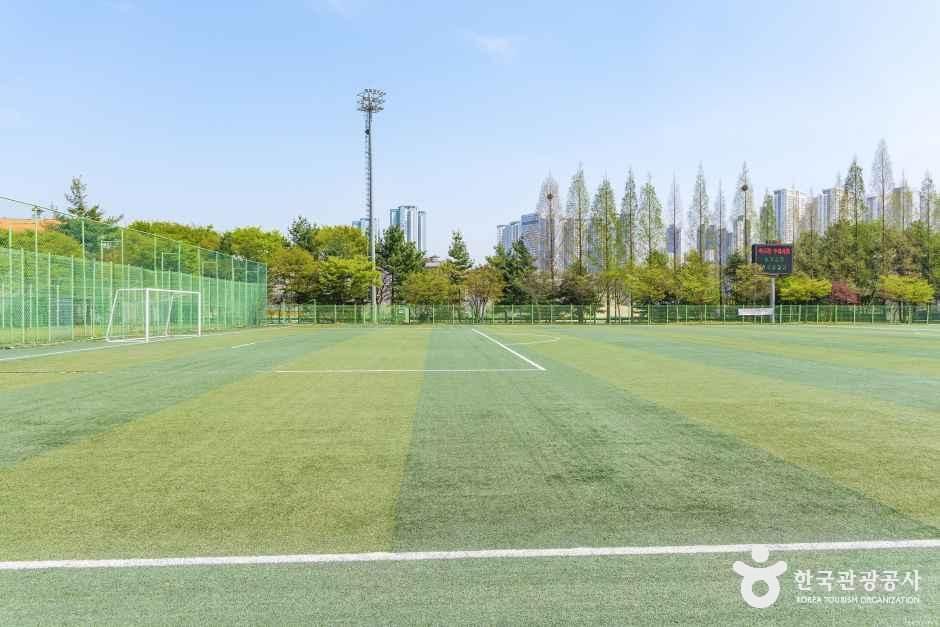 대화동레포츠공원 사진 2