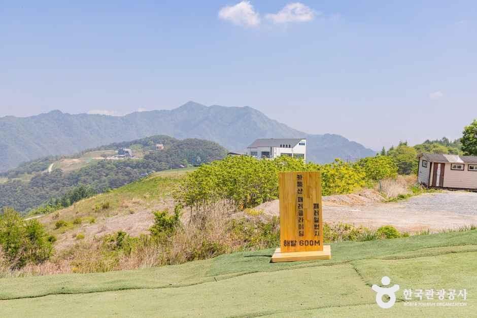 단양 패러일번지