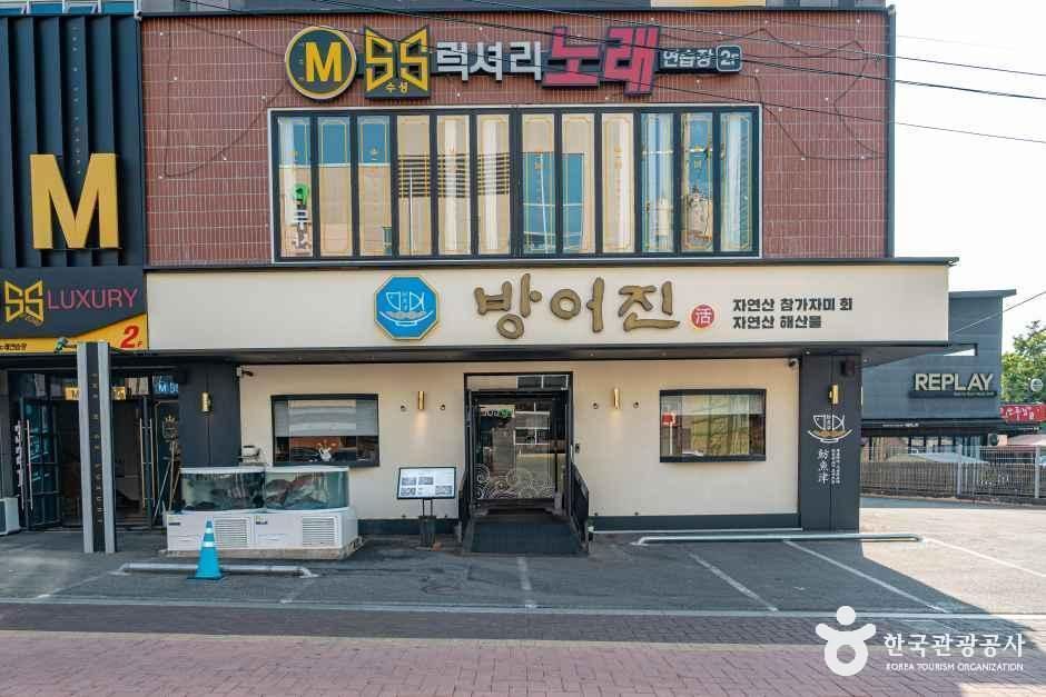방어진 참가자미 사진 1