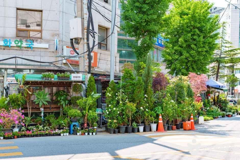 서울_종로꽃시장 (4).jpg