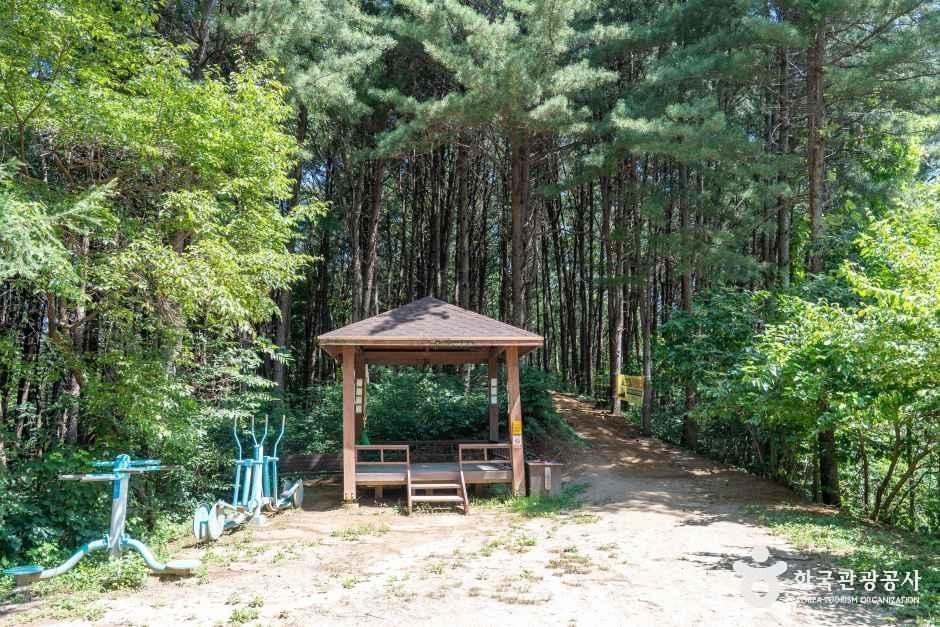 [횡성호수길] 5구간