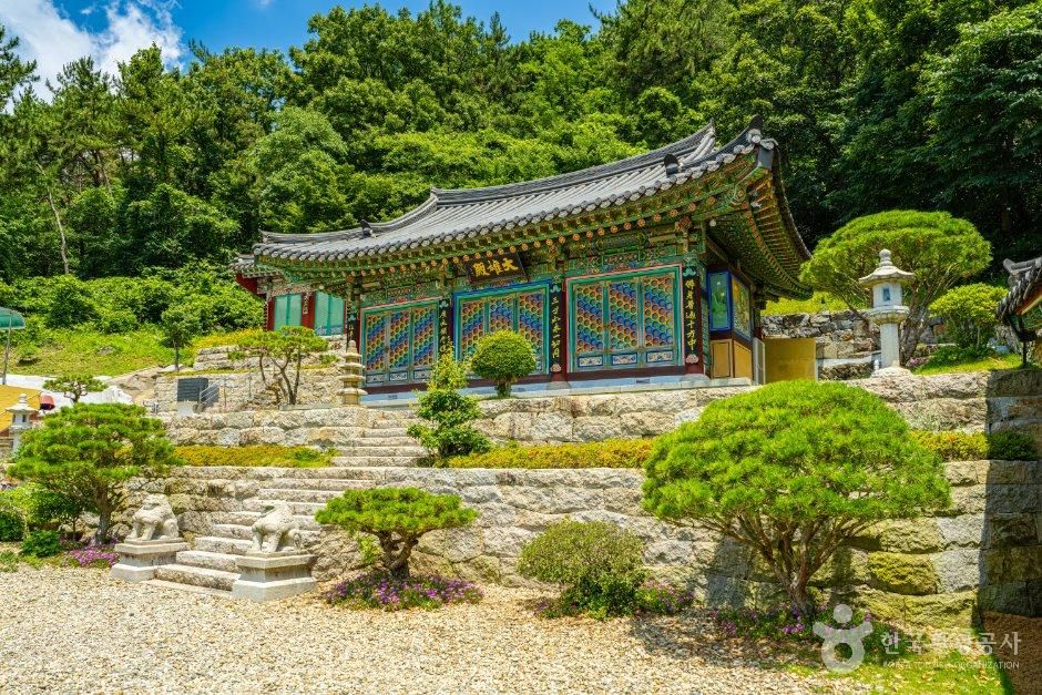 금정사