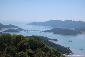 조도(조도6군도)