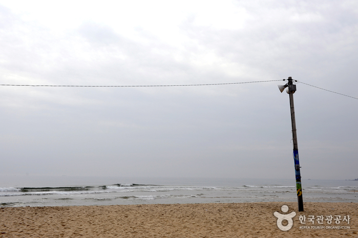 화진포해변 화진포해변