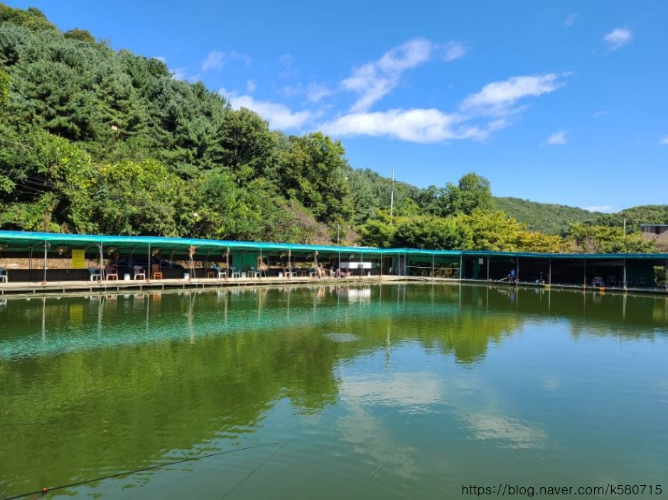 山井钓鱼场