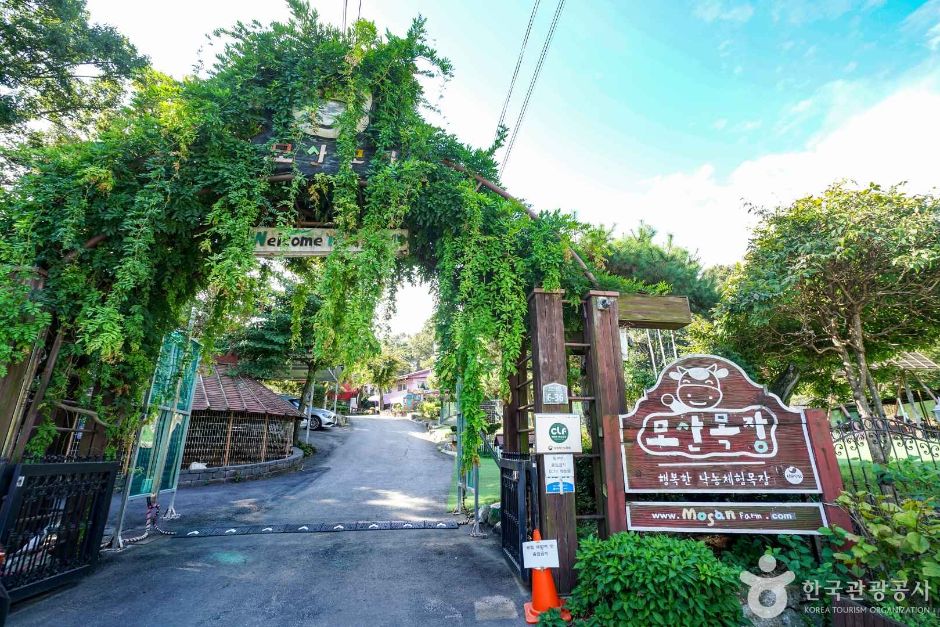 牟山牧场