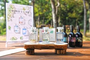 2024 관광두레 11월기사 부산 주식회사 그런고로 1