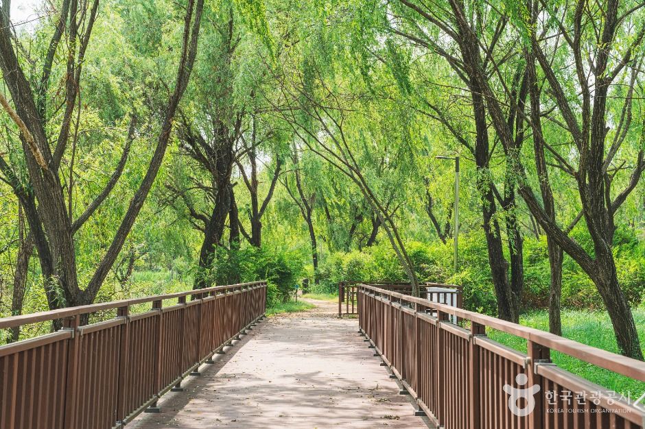 江西汉江公园