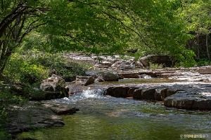 선유동계곡(문경)