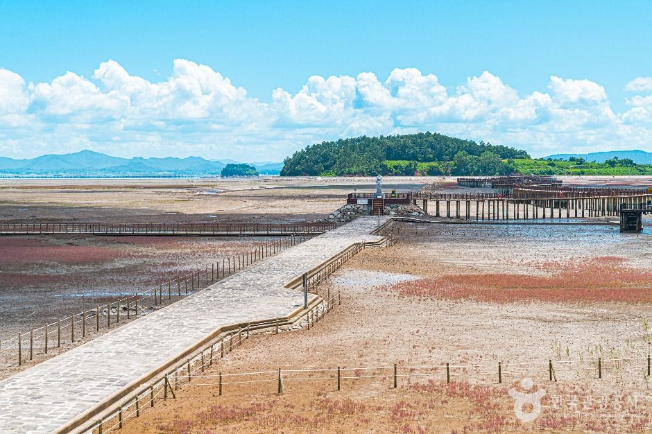 務安黄土干潟ランド