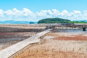 무안황토갯벌랜드