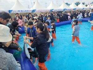 Festival del Bangeo del Extremo Sur (최남단 방어 축제)