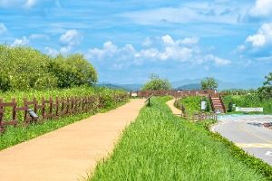 주남저수지 철새도래지