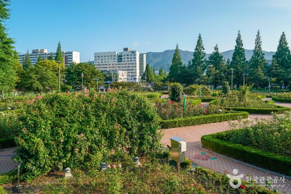 Rose Park (Changwon)