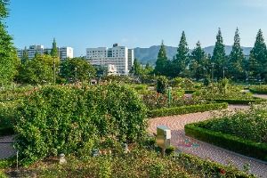 장미공원(창원)