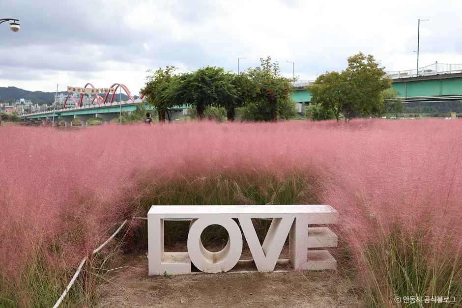 안동_그라스원 (6).jpg