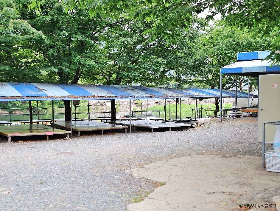 밀양_밀양 유원지 오토캠핑장 (4).jpg