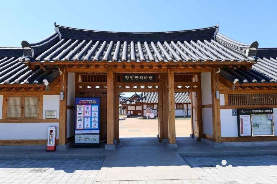 영천한의마을