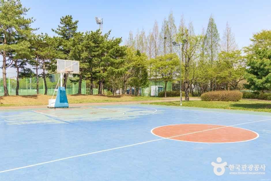 대화동레포츠공원 사진 3