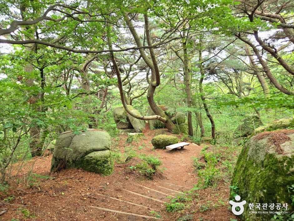 부산_동래_금강공원_외부_5.jpg