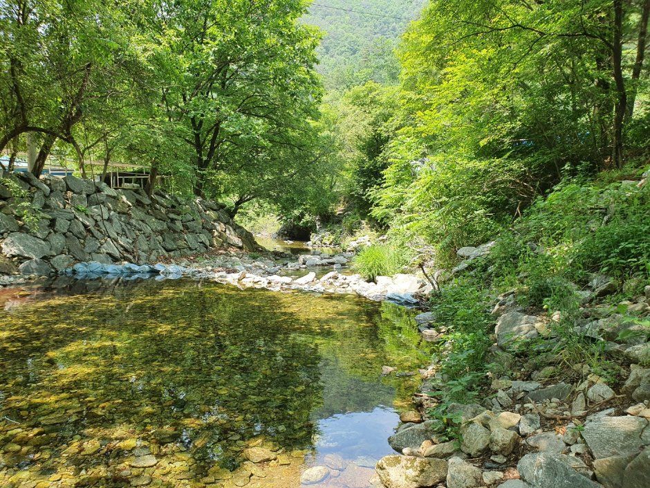 검산별빛캠핑장