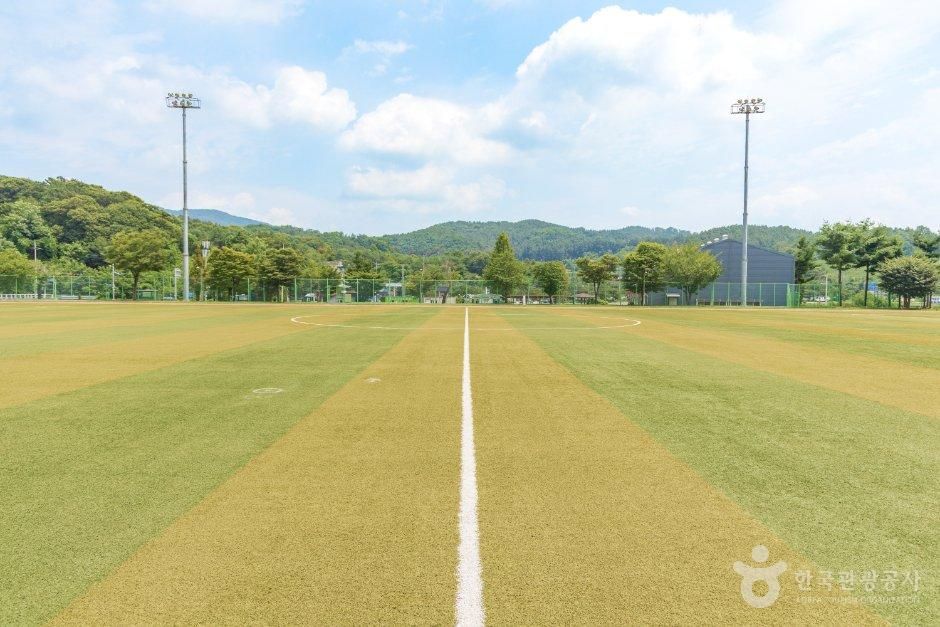 智平レポーツ公園