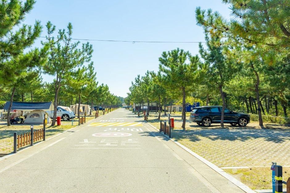 망상오토캠핑리조트제2오토캠핑장