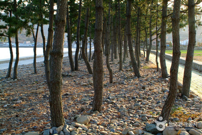 월포해수욕장 월포해수욕장