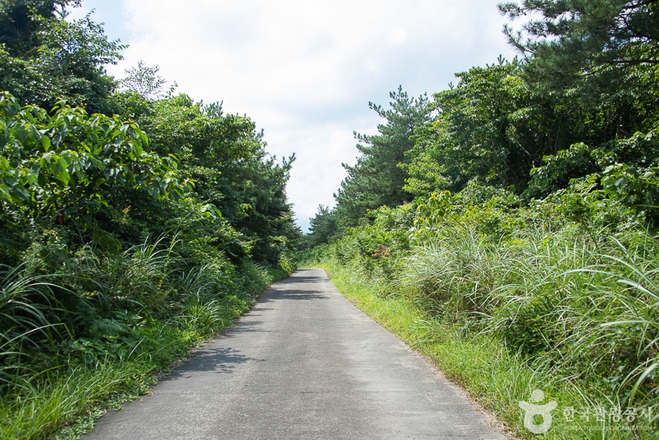 Sumang-ri Mahuni Forest Trail