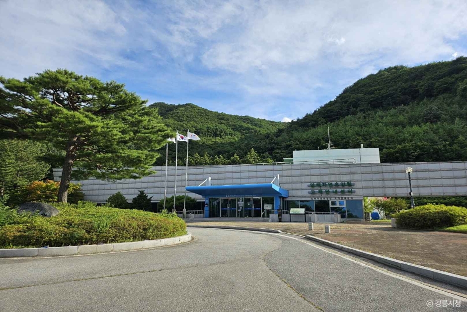 临海自然休养林