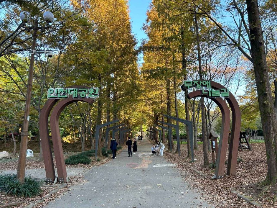 仁川大公園 癒しの森道