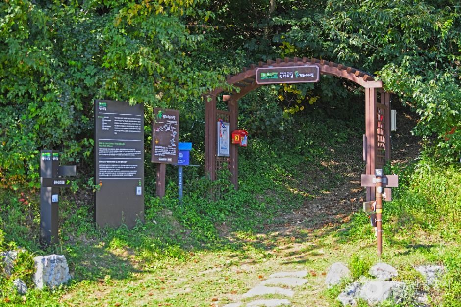 [平和ヌリ道 3コース] 漢江鉄柵の道