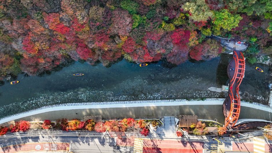 鉄岩紅葉群落地