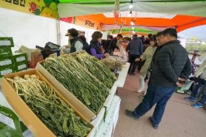 2025 청춘양구 펀치볼 시래기사과축제 1