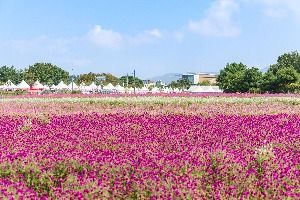 양주_나리농원 (2) 미리보기
