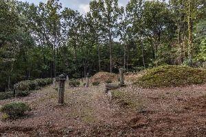 3570492 image3 1 예스키즈존 탐험대 : 실패 없는 육아여행