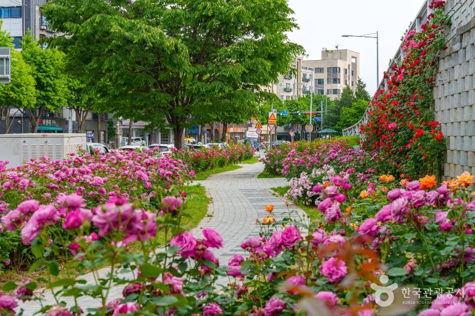 Jungnang Rose Park