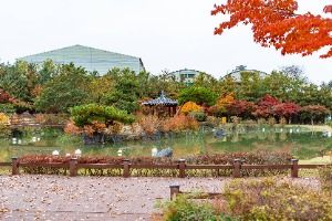 논산 시민가족공원