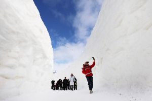 2026 대관령눈꽃축제 8