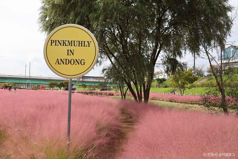 안동_그라스원 (7).jpg