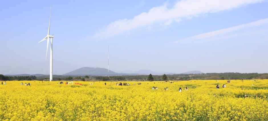 Nike I’S VILL Outlet Bupyeong [Tax Refund Shop](나이키 아이즈빌아울렛 부평점)