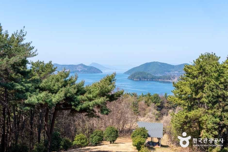 거제맹종죽테마공원