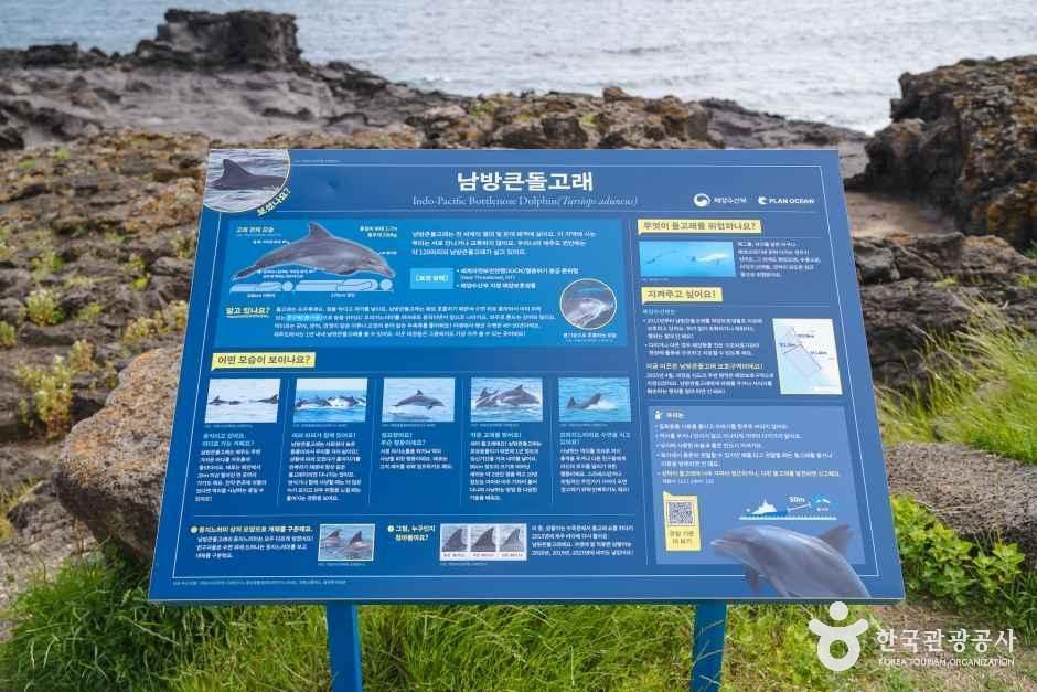 뿔소라공원