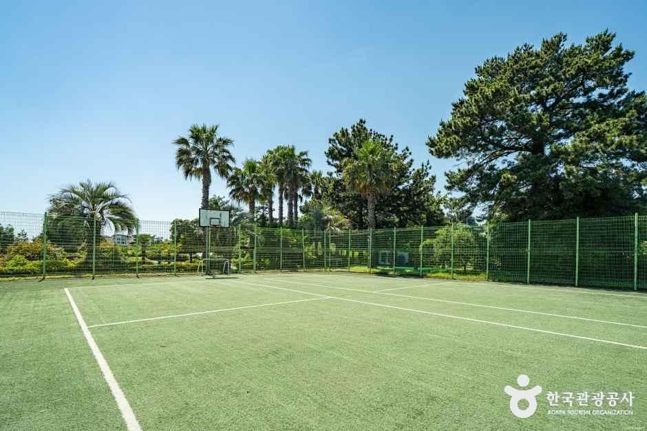 씨오르리조트 사진 3