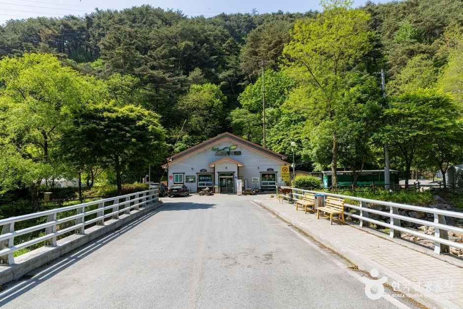 용두산오토캠핑장